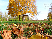 В Пензенской области ночами ожидаются заморозки до -5ºС
