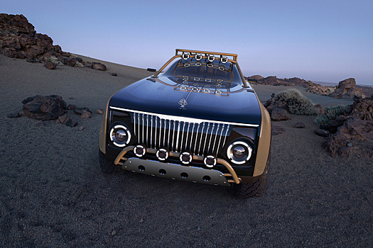 Семеро смелых: необычные концепты премиум-марок