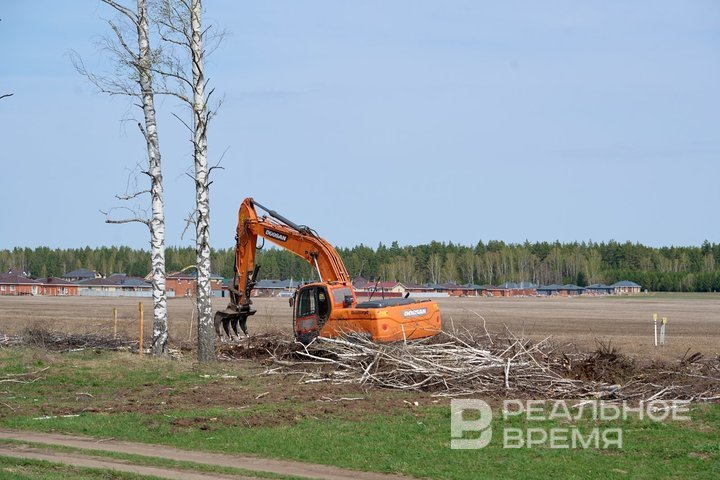 Татарстан обогнал Россию и ПФО по проценту восстановления вырубленных лесных насаждений
