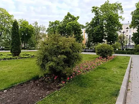 На улицах Самары траву будут косить до октября