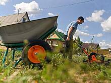 В России ввели новые ограничения для дачников. Какие действия теперь запрещено проводить с недвижимостью?