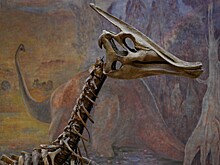 Фастфуд для динозавров: неожиданное открытие ученых