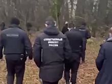 Маньяк из Подмосковья заманивал девушек объявлениями о поиске няни