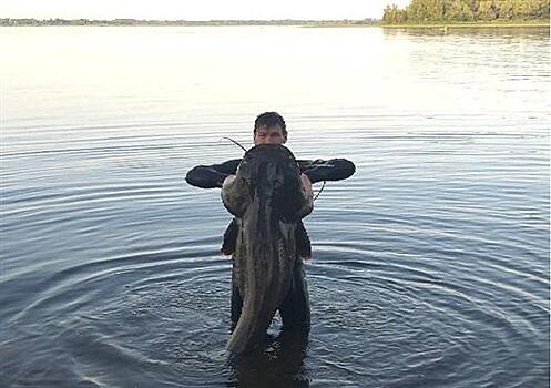 Рыбак поймал 70-килограммового сома в Самарской области