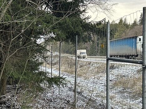 В Удмуртии на трассе «Ижевск — Воткинск» появились сетчатые ограждения от диких животных