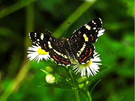 Установлена охранная зона памятника природы «Урочище Суходол»