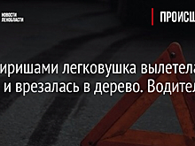 Под Киришами легковушка вылетела в кювет и врезалась в дерево. Водитель погиб