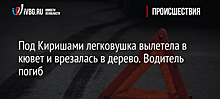 Под Киришами легковушка вылетела в кювет и врезалась в дерево. Водитель погиб