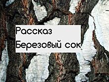 Рассказ «Березовый сок»