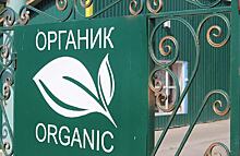 На 17% выросло количество органических сельхозугодий в Томской области в 2020 году