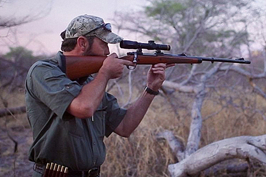 Защитники животных и браконьеры ведут жестокую войну. В ней гибнут не только звери