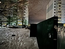 В Пензе иностранец убил женщину и оставил тело на мусорке