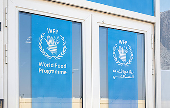 AFP: хуситы задержали сотрудника Всемирной продовольственной программы ООН