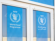 AFP: хуситы задержали сотрудника Всемирной продовольственной программы ООН