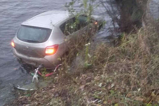 В Казани женщина заехала в озеро, пытаясь погладить кошку