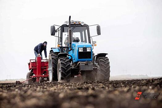 Накормят ли частные фермеры Ленобласти петербуржцев в условиях санкций: мнение экспертов