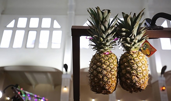 Волгоградцам объяснили, как ананасы помогают сбросить лишние килограммы