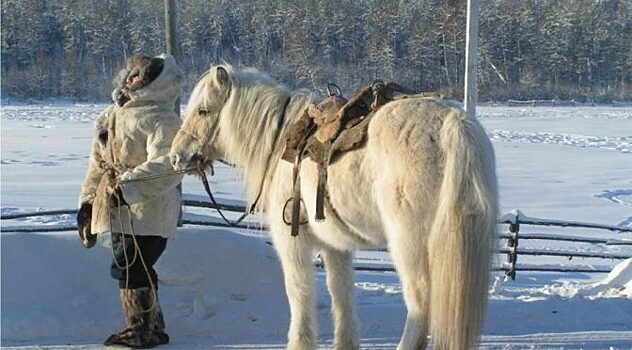 Село Оймякон: что не так с самым холодным местом России