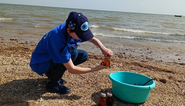 Донские ученые сообщили о быстром размножении гаммаруса в Азовском море