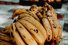 Названы причины рекордного подорожания бананов в России