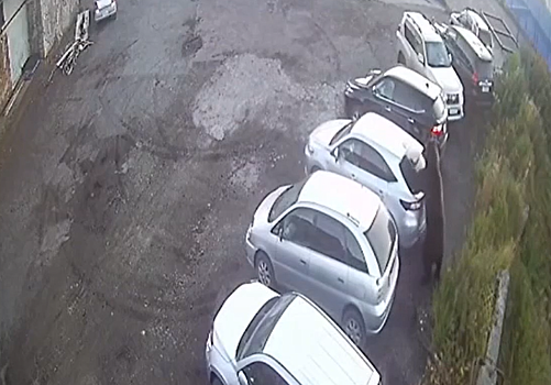 На Камчатке туроператоров попросили защищать туристов от медведей