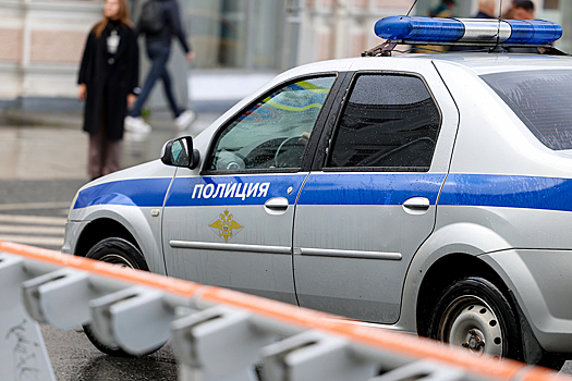 Под Москвой двое мужчин погибли при загадочных обстоятельствах