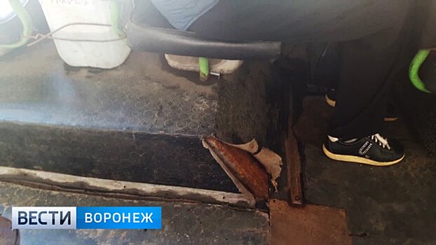 Воронежцам приходится добираться до дачных участков на «протёртом до дыр» автобусе
