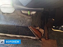 Воронежцам приходится добираться до дачных участков на «протёртом до дыр» автобусе