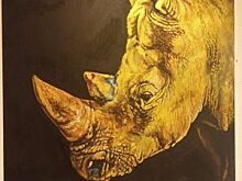 Выставку-конкурс «Живая планета» организуют в библиотеке путешествий