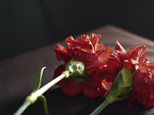 Рабочая группа изучит вопрос о возможном строительстве крематория в Удмуртии