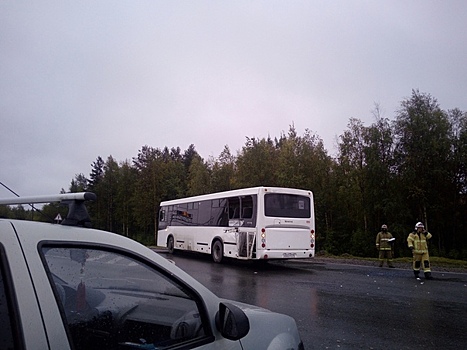 «Заднюю часть занесло»: под Новодвинском рейсовый автобус врезался в МАЗ
