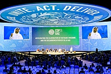 В Дубае обсуждали не климат, а решали, кто станет богатым, а кто - бедным