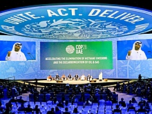 В Дубае обсуждали не климат, а решали, кто станет богатым, а кто - бедным