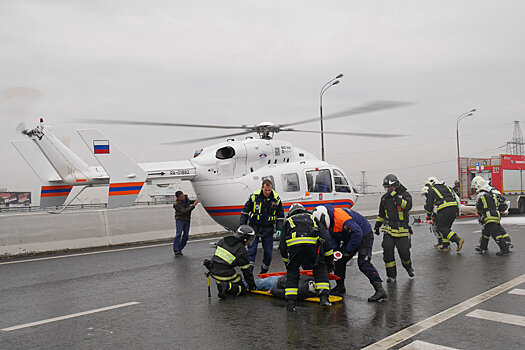 МЧС создаст авиационные спецчасти для экстренного реагирования на ДТП