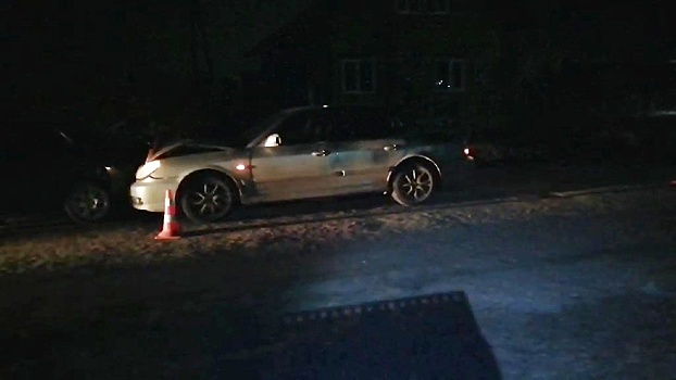 Двое взрослых и два ребенка пострадали в ДТП в Городецком районе