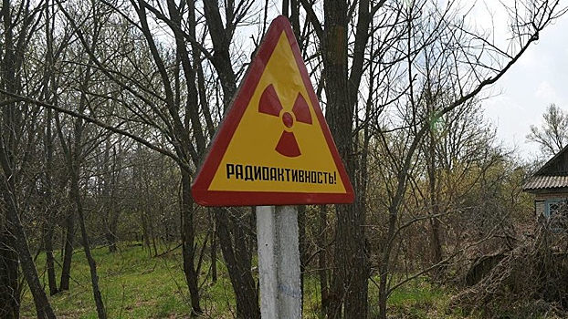 Лес загорелся в Чернобыльской зоне