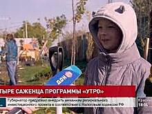 4 саженца от &laquo;ДОН 24&raquo; теперь растут на улице 40 лет Победы
