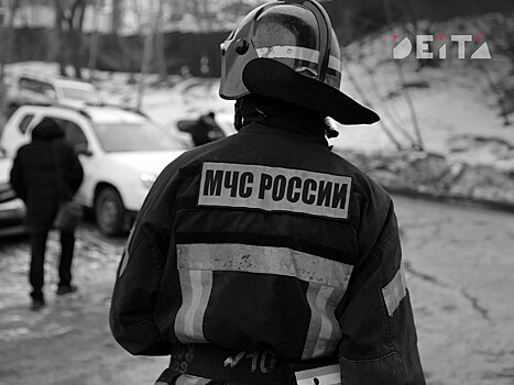 Беспилотник со взрывчаткой упал в Подмосковье