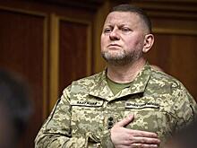 Стриптиз генерала Залужного не сорвал аплодисментов