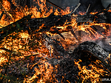 Депутат Госдумы Бурматов обвинил черных лесорубов в пожарах