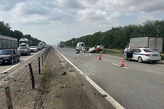 В Ростовской области в 2024 году в ДТП погибло 500 человек