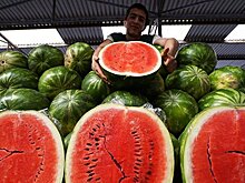В столице откроется сезон продажи арбузов и дынь