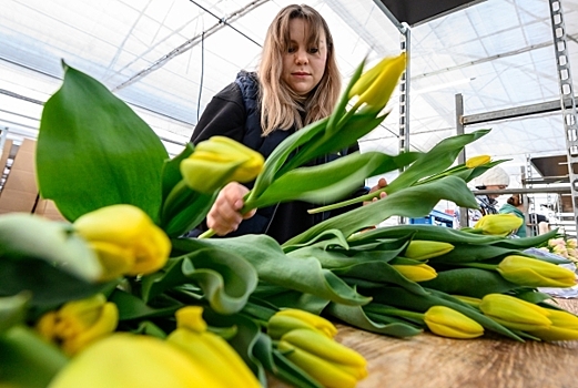 Особенный цветок? Флористы поднимут цены к 8 марта на 80%