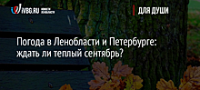 Погода в Ленобласти и Петербурге: ждать ли теплый сентябрь?