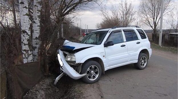 В Орловской районе пьяный водитель «Сузуки» протаранил дерево