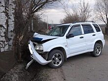 В Орловской районе пьяный водитель «Сузуки» протаранил дерево