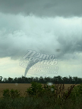 Повалил столбы и деревья: мощный торнадо обрушился на Ростовскую область