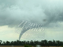 Повалил столбы и деревья: мощный торнадо обрушился на Ростовскую область