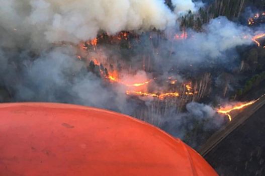 Лесных пожаров в Новосибирской области стало больше