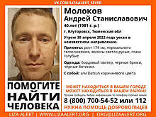 В Тюменской области пропал мужчина, уехавший на японской машине